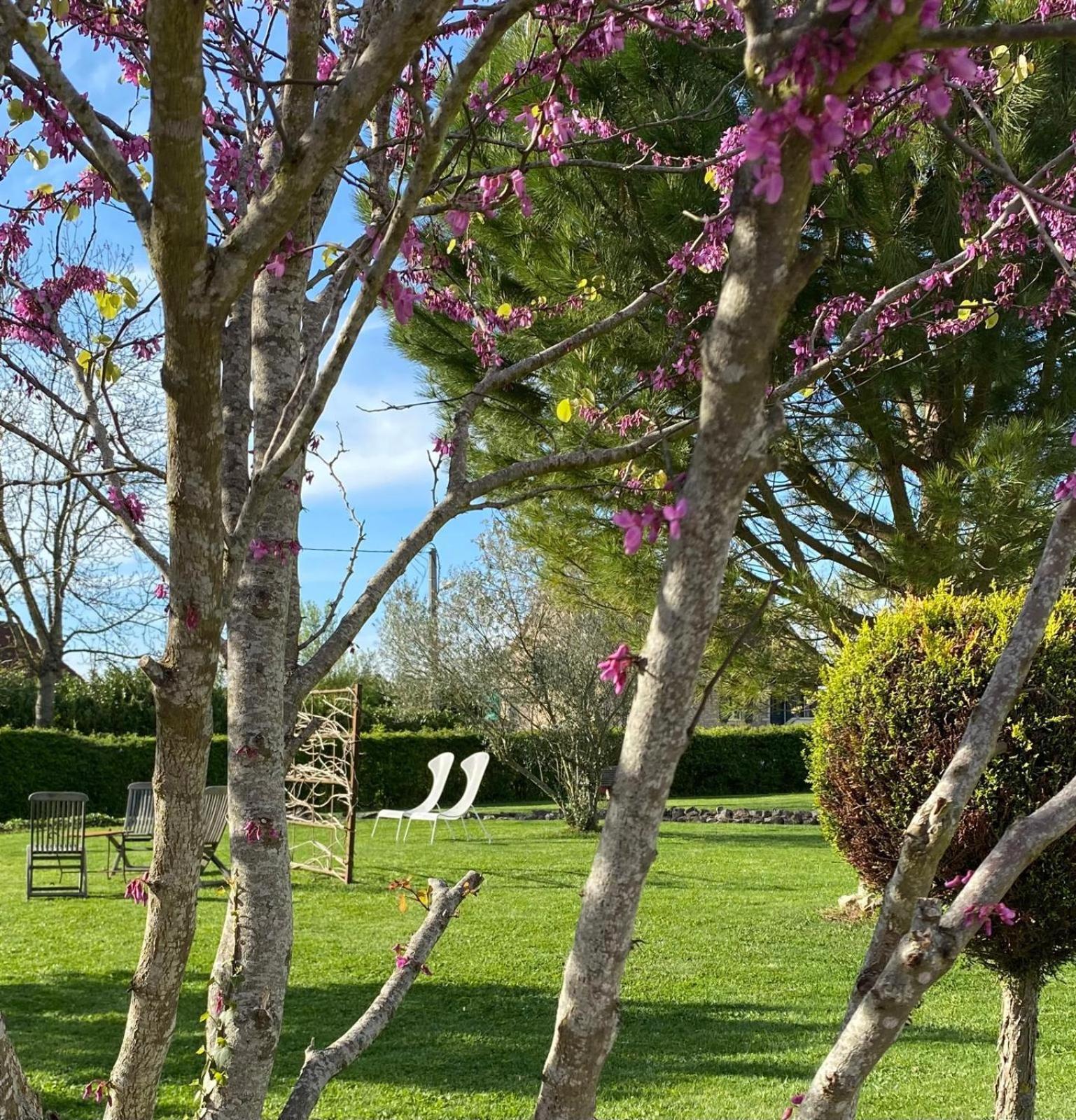 Gite Et Studios Les Barongeres Farges-lès-Chalon Kültér fotó