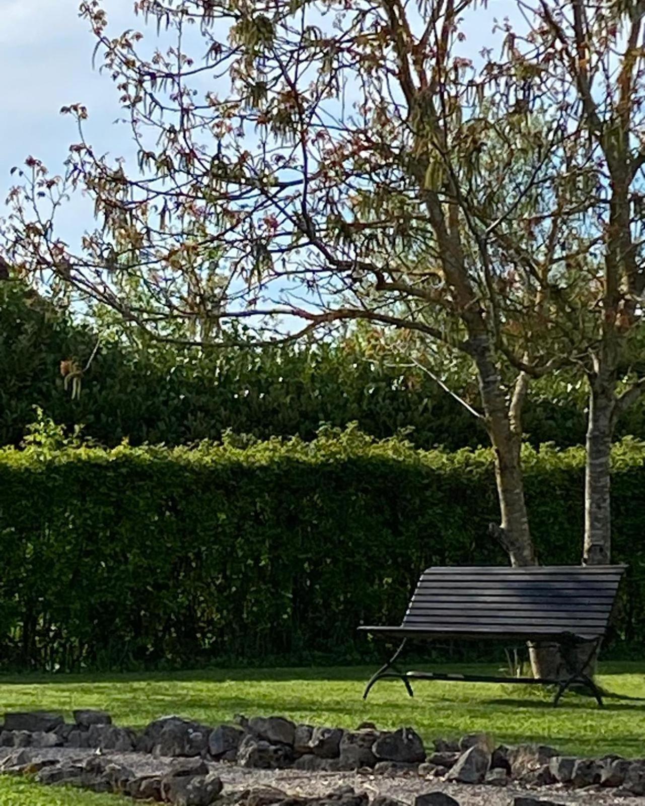 Gite Et Studios Les Barongeres Farges-lès-Chalon Kültér fotó