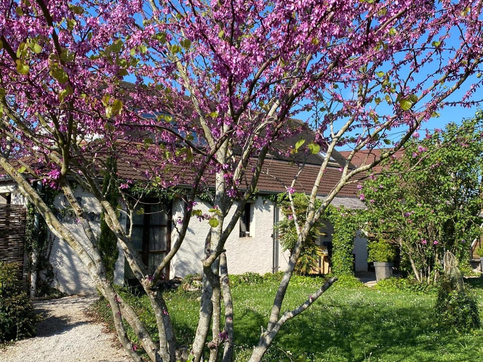 Gite Et Studios Les Barongeres Farges-lès-Chalon Kültér fotó