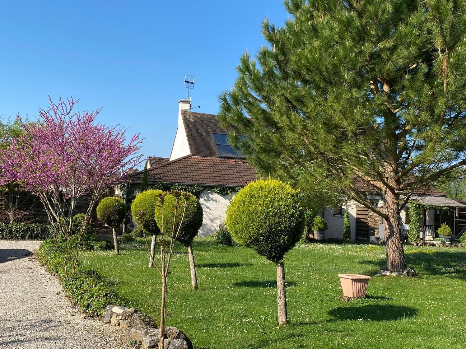 Gite Et Studios Les Barongeres Farges-lès-Chalon Kültér fotó