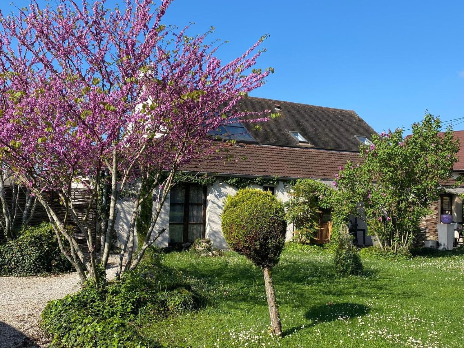 Gite Et Studios Les Barongeres Farges-lès-Chalon Kültér fotó